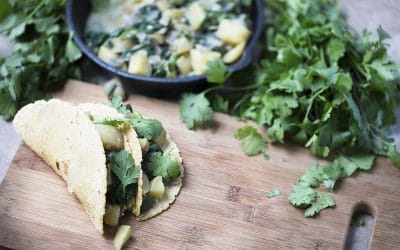 Going Meatless on a Vegan Diet