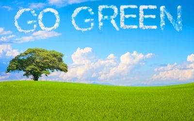 Your Complete Guide to Living Green