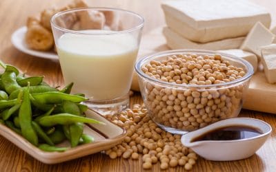 Is Soy the Way of the Future? Get the Facts