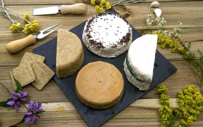 Are You Missing Out On These 22 Mouth Watering Vegan Substitutes?