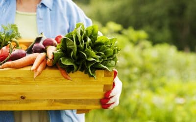 All About Organic Food