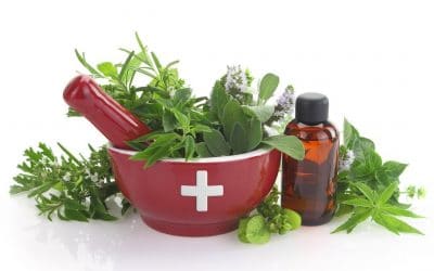 Do Vegan Medicines Exist?