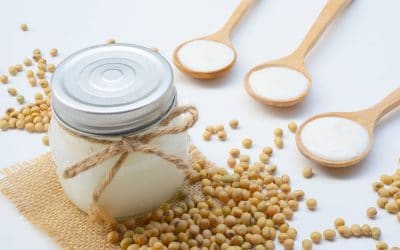 10 Easy Vegan Yogurt Recipes You Should Try Out