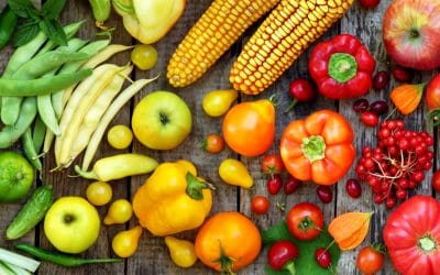 Vegan Nutrition 101: How To Get The Needed Nutrients Without Cruelty