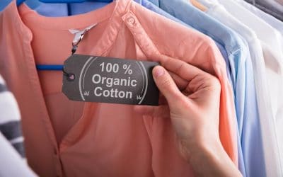 A Beginner’s Guide to Vegan Clothing: Brands, Ingredients and More