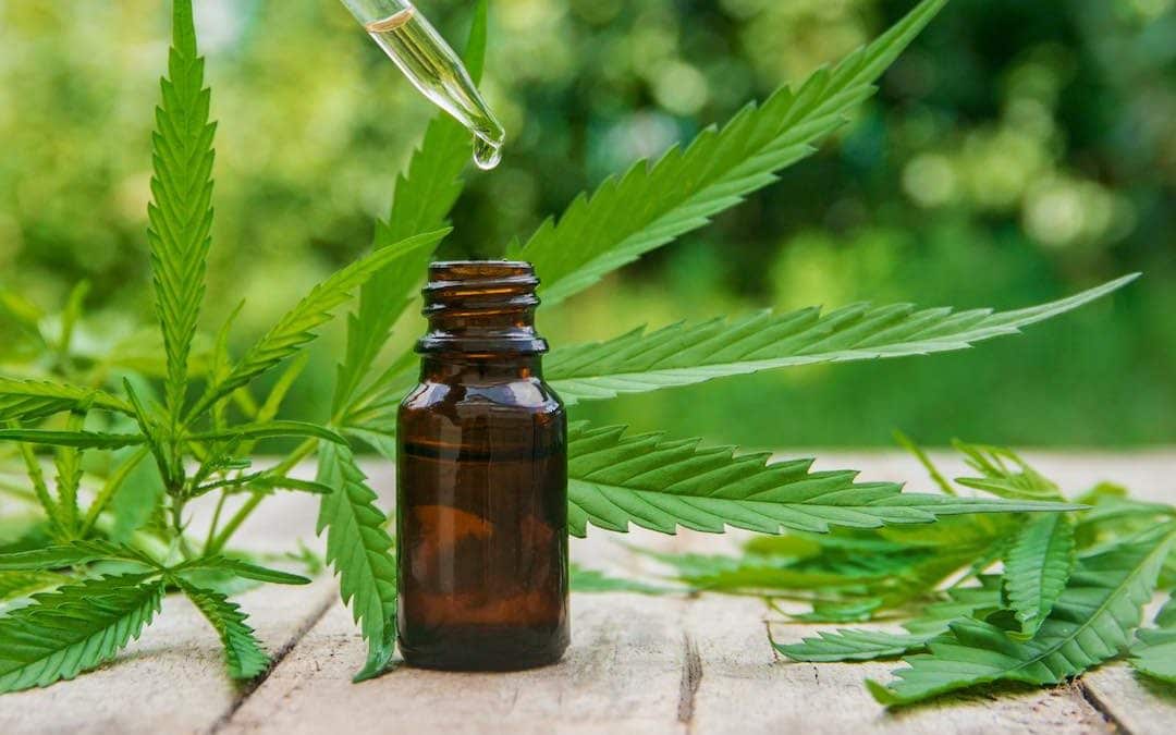 Four Full Spectrum CBD Oils That Assist With Weight Loss